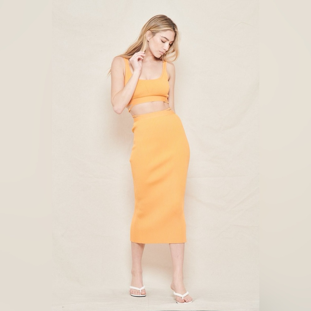 Jonathan Simkhai Liyana Crop Top and Sade Skirt